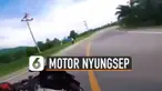 Ia menerobos rerumputan hingga akhirnya jatuh terperosok.