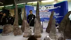 Puluhan tanduk badak yang berhasil disita ditampilkan saat konferensi pers di kantor bea cukai di bandara Suvarnabhumi, Bangkok, Thailand (14/3). Pemerintah Thailand telah menyita 21 tanduk badak. (AP Photo/Sakchai Lalit)