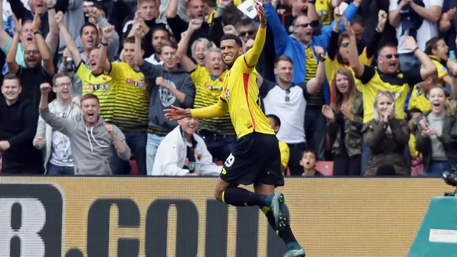 Etienne Capoue