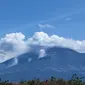 Kebakaran hutan di lereng gunung di kawasan Wongsorejo Banyuwangi (Istimewa)