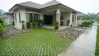 7 Tanaman Hijau yang Membuat Paving Halaman Rumah Lebih Adem ala Taman Tropis