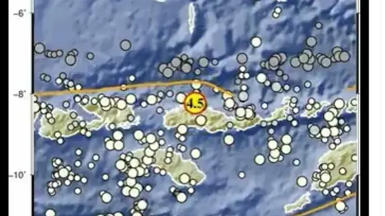 Rentetan Gempa Susulan Guncang NTT