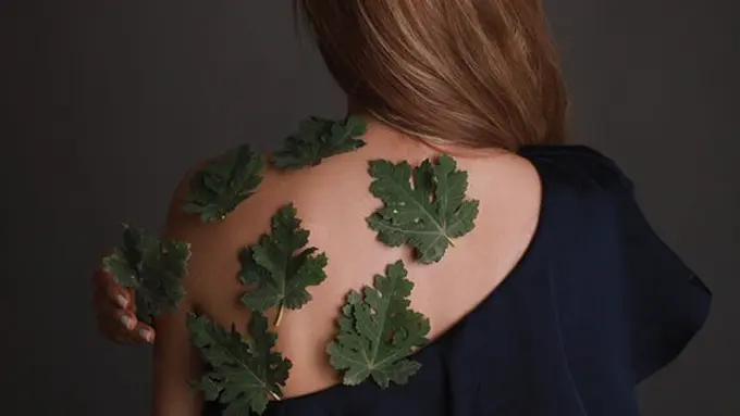 Copyright: unsplash/zohre nehmati