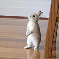 Memiliki tubuh pendek memang banyak nggak enaknya. Hiks.