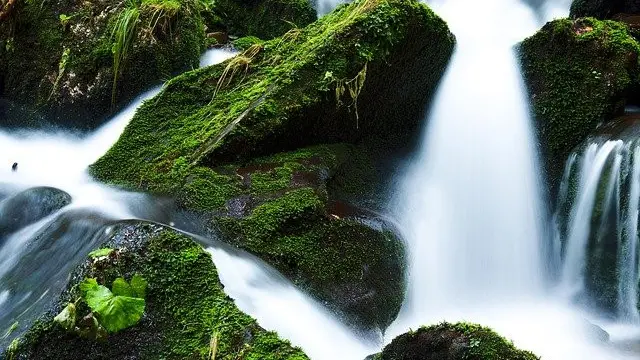 Ilustrasi sungai