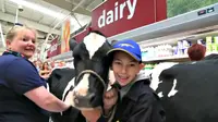 Dua ekor sapi merupakan bagian dari rombongan 70 orang petani yang melakukan unjuk rasa kenaikan harga susu.