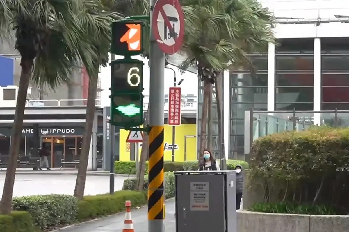 Lampu Lalu Lintas Penguin