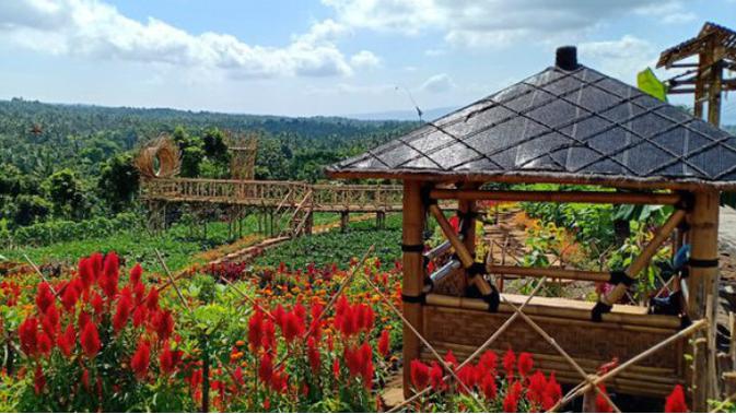 Dua Tempat Wisata Di Banyuwangi Ini Paling Banyak Diserbu