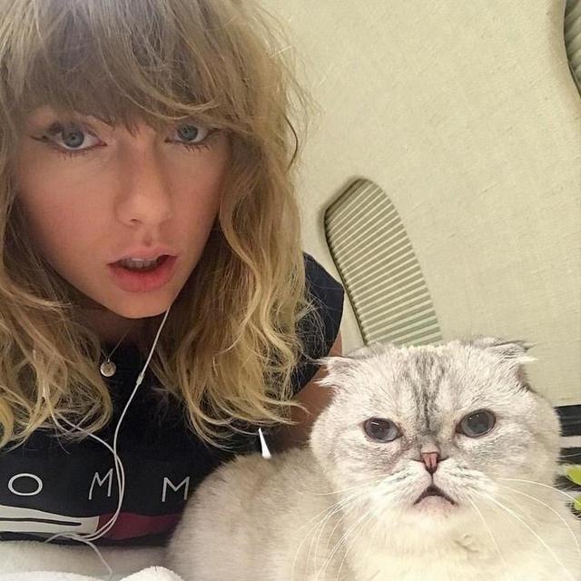 Kucing Taylor Swift Dinobatkan Jadi Hewan Peliharaan Terkaya ke-3 di Dunia Versi Rolling Stone