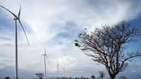 Pembangkit Listrik Tenaga Bayu (PLTB) Tanah Laut, Kalimantan Selatan, berkapasitas 70 MW.