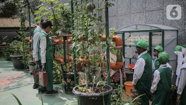 Budidayakan Tanaman Hidroponik Ibu Rumah Tangga Bisa Raup Rp 3 Juta Per Bulan Bisnis Liputan6 Com