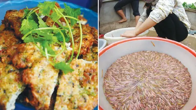 Sensasi Makan Omelette dari Daging Cacing, Berani Coba?