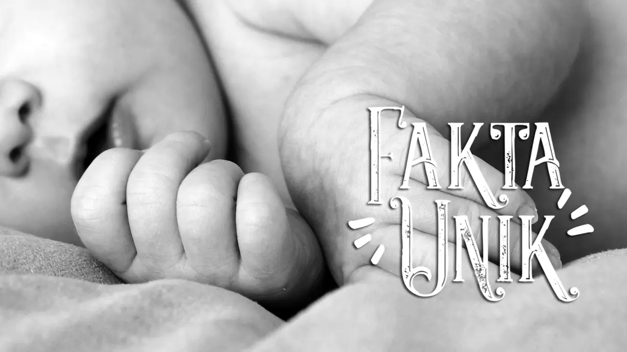 [Bintang] Fakta Unik