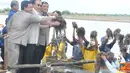 Citizen6, Losari: Menteri Kelautan dan Perikanan Sharif C Sutardjo, didampingi Gubernur Jabar Ahmad Heryawan, dan Wakil Ketua Komisi IV Herman Chaeron, panen rumput laut di Desa Ambulu, Kecamatan Losari, Kabupaten Cirebon, Jawa Barat. (Pengirim: Efrimal B