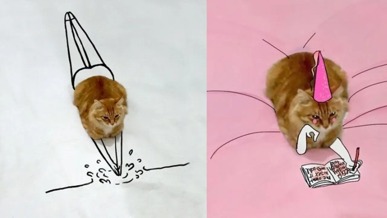 Lucunya 7 Kreasi Coretan di Foto Kucing Duduk Ini Bikin Tersenyum
