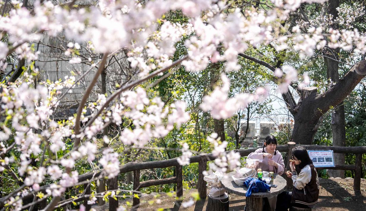Sebagai informasi, Hanami merupakan waktu untuk mengagumi, merenungkan, dan merayakan. Dalam Bahasa Jepang, hanami berarti melihat bunga, yang menjadi tradisi masyarakat setempat untuk menikmati keindahan bunga sakura. Tampak dalam foto, orang-orang makan dan minum di bawah pohon sakura di sebuah taman di Tokyo pada Senin 30 Maret 2026. (Yuichi YAMAZAKI/AFP)