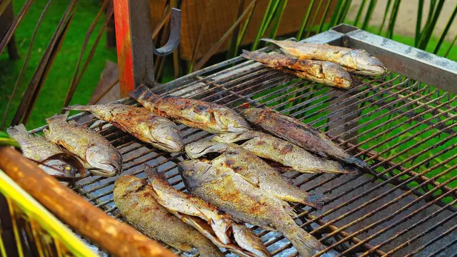 Ilustrasi Ikan Bakar Jimbaran