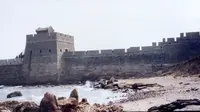 Apa itu Giant Sea Wall dan Bagaimana Manfaatnya untuk Kelautan?