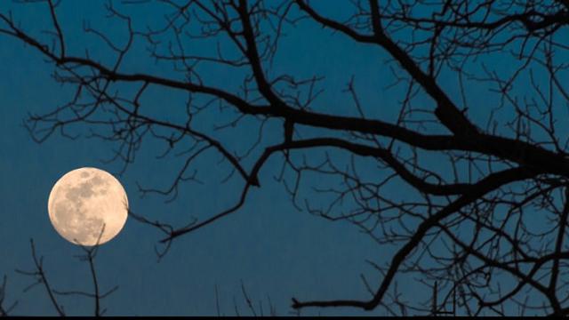 Full Worn Moon (AFP)