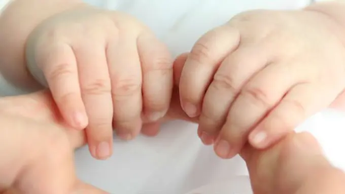 Ilustrasi Copyright by Pixabay.com