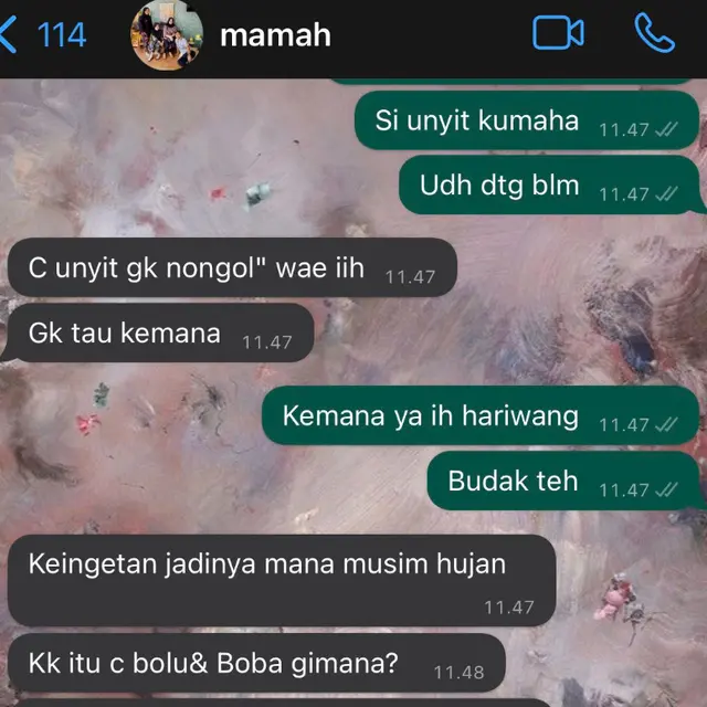 6 Chat Ibu dan Anak Bahas Kucing Ini Kocak, Anabul Jadi Anggota Kesayangan
