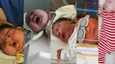 Berikut bayi-bayi terbesar yang berasal dari berbagai penjuru dunia, termasuk Indonesia: 