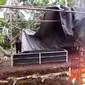 Tempat sabung ayam di Kecamatan Licin Banyuwangi dimusnahkan petugas Kepolisian (Istimewa)