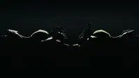 Kawasaki pamer teaser Ninja 125 dan Z125 di EICMA, Milan, Italia. (Visordown)