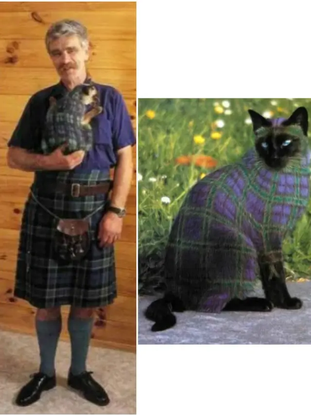 Why Paint Cats