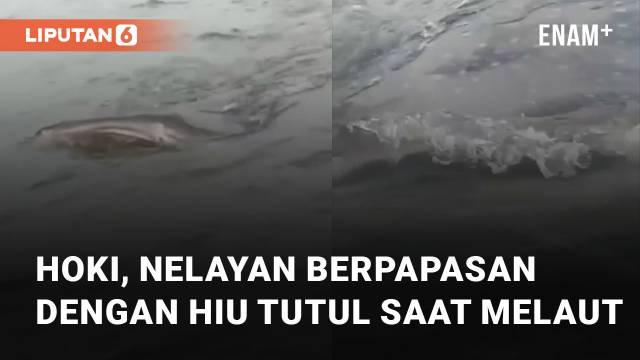 Momen langka didapatkan oleh seorang nelayan ini saat melaut