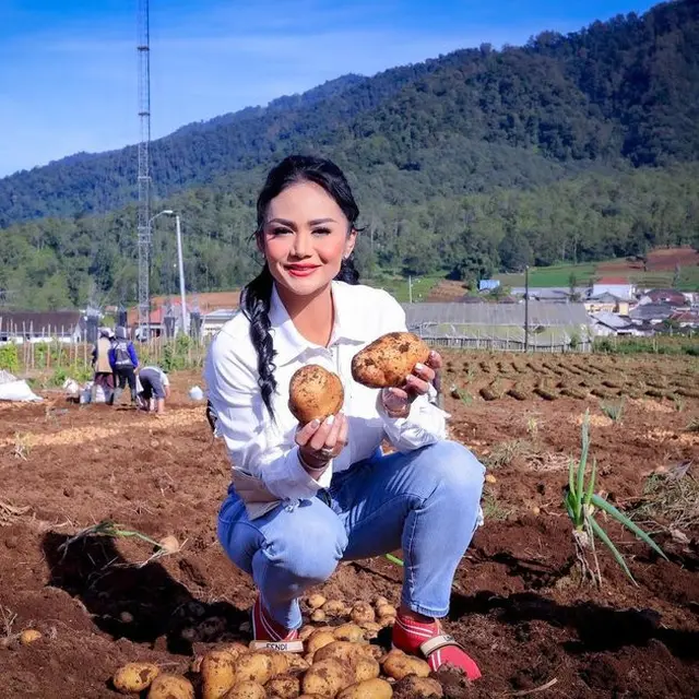 6 Momen Krisdayanti Ajak Kedua Anaknya Panen Kentang di Ladang Warga, Aksinya Banjir Pujian