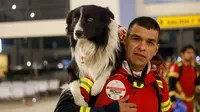 Rombongan anjing penyelamat andalan milik Meksiko akan membantu proses evakuasi korban selamat dari gempa Turki dan Suriah yang terjadi pada Senin (6/2/2023). (Dok: Sekretaris Hubungan Luar Negeri Meksiko)
