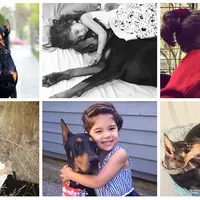 Potret aktivitas duo sahabat manusia-hewan. (Daily Mail)