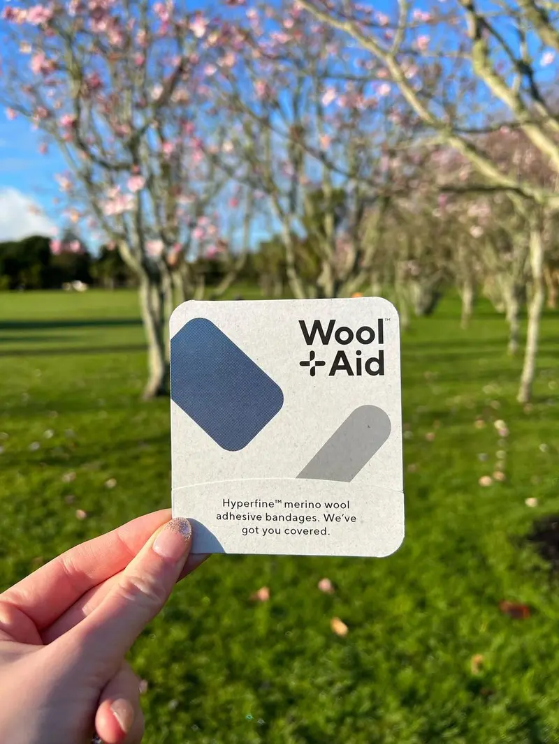 Wool Aid, Plester Ramah Lingkungan dengan Wol Merino