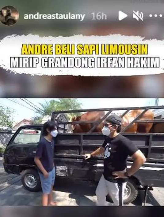 Andre Taulany juga berkurban tahun ini dengan sapi berukuran besar, hampir seukuran sapinya Irfan Hakim yang bernama Grandong. (Instagram/andreastaulany)