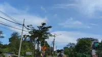 Aksi Nekat Pemuda di Balikpapan Gondol Puluhan Panel Surya Lampu Jalan