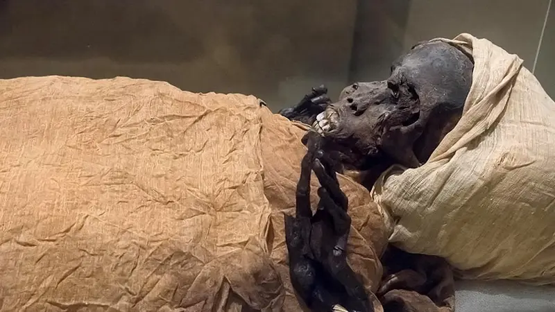 FOTO: Penampakan Mumi Firaun Seqenenre Taa II Berusia 3.600 Tahun