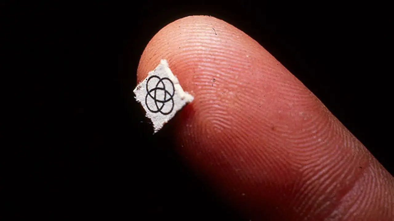 LSD 7