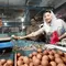 Pedagang Pasar Tak Lagi Menunggu Pembeli: Ketika Lapak Tradisional Masuk Dunia Digital