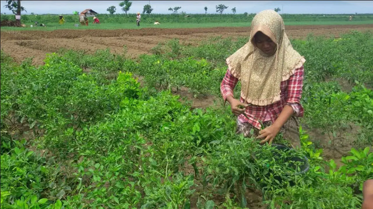 (Foto: Liputan6.com/Panji Prayitno)