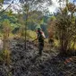Petugas memadamkan api yang membakar hutan di Gunung Semeru