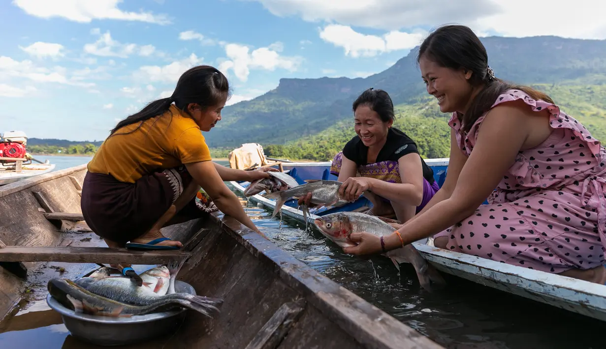 Nelayan perempuan membersihkan ikan di atas perahu di Danau Nam Ngum di Provinsi Vientiane, Laos, pada 15 Desember 2020. Terletak di hilir Sungai Nam Ngum dan sekitar 80 km dari ibu kota, Danau Nam Ngum merupakan tempat dengan ratusan pulau kecil yang tersebar di dalamnya. (Xinhua/Kaikeo Saiyasane)