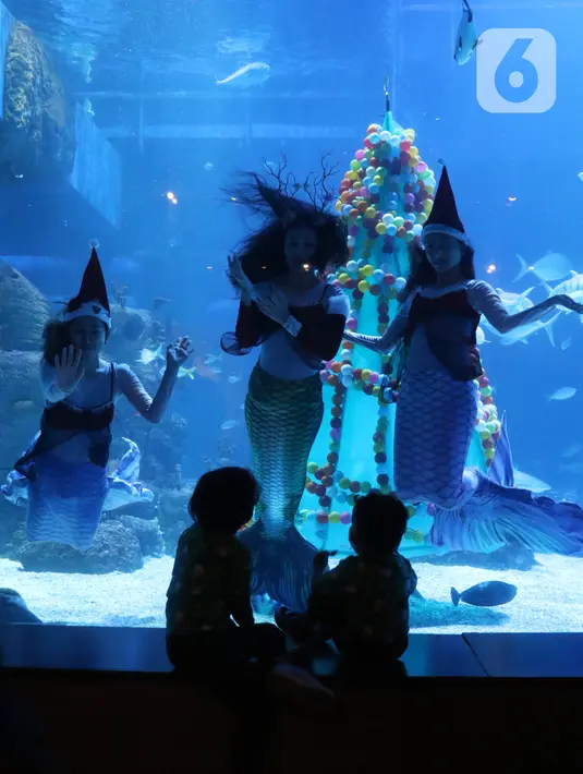 Penyelam berkostum putri duyung menghibur anak-anakdi dalam air yang dihiasi pohon natal di Jakarta Aquarium dan Safari, Mal Neo Soho, Grogol, Jakarta, Kamias (24/12/2020). Pertunjukan tersebut untuk mengisi libur Natal dan Tahun Baru 2021. (Liputan6.com/Angga Yuniar)
