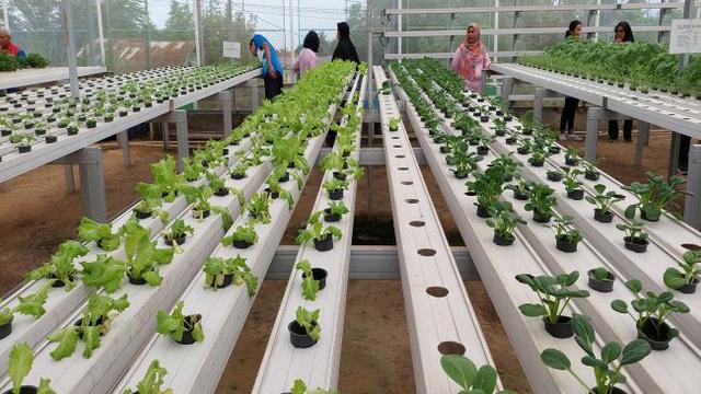 Gerai Energi Jambi, binaan PHR Pertamina Field Jambi (Foto: liputan6.com/Agustina Melani)