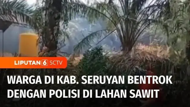 VIDEO: Warga Seruyan Bentrok dengan Polisi di Area Perkebunan Sawit, Terdapat Warga yang Tewas