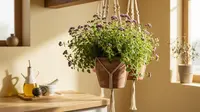 Inspirasi Tanaman Oregano Gantung untuk Dapur Rumah: Segar, Estetis, dan Fungsional