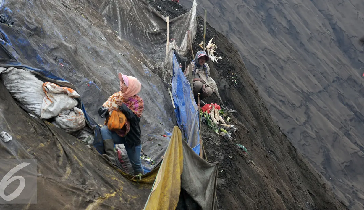 Salah satu pemungut hasil bumi yang dilemparkan beristirahat di lereng kawah Gunung Bromo, Probolinggo, Kamis (21/7). Warga Tengger melakukan ritual lempar hasil bumi sebagai wujud syukur pada Sang Hyang Widi. (Liputan6.com/Helmi Fithriansyah)