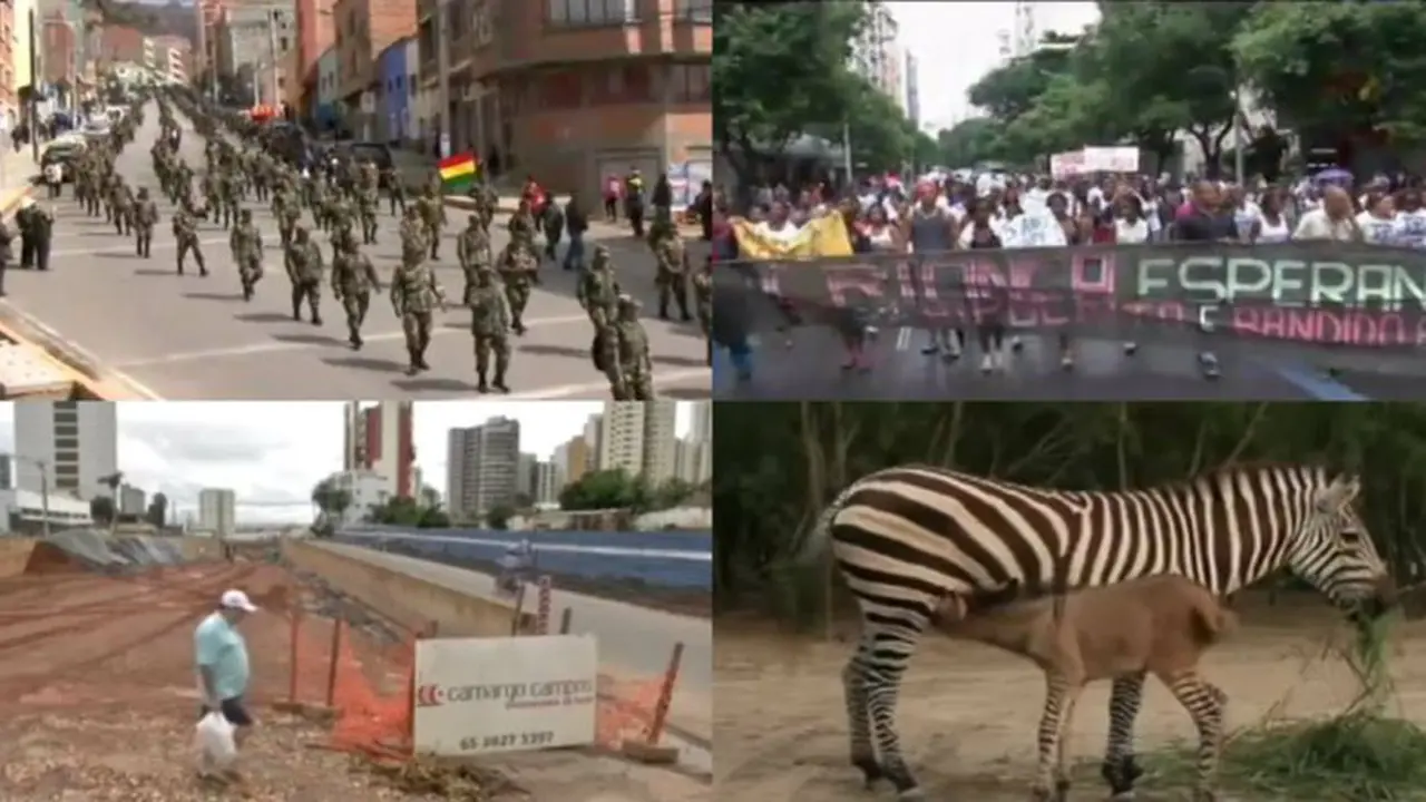 702 Tentara Bolivia Dipecat - Zonkey Si Bayi Persilangan Lahir