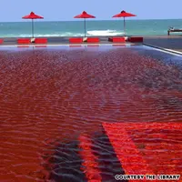 Kolam renang super keren ini bisa bikin feed instagram kamu kece kalau ditambah foto-foto di sana. Sumber foto: lifebuzz.com)