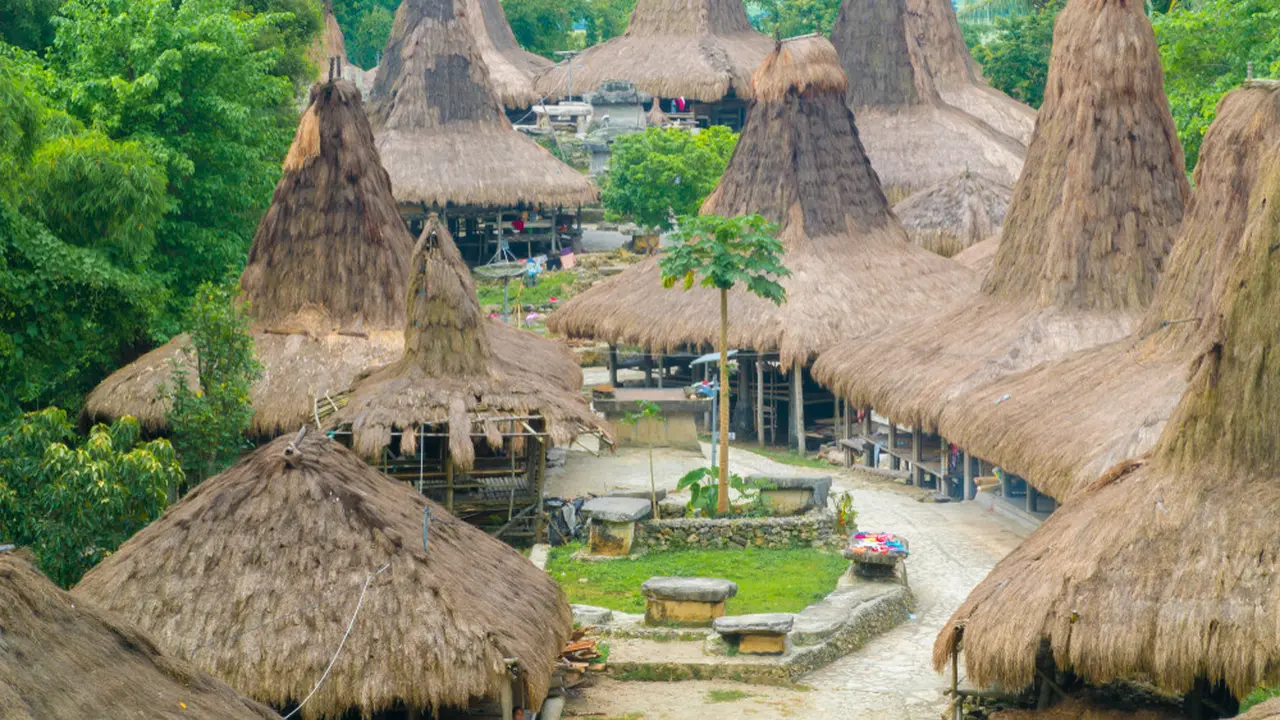 Kampung Adat Praijing dan Perkembangan Terkini Desa Tebara di Sumba Barat